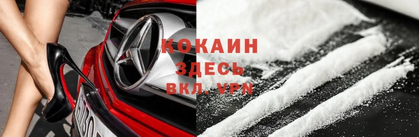 прущие грибы Абдулино