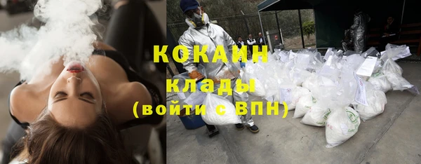прущие грибы Абдулино