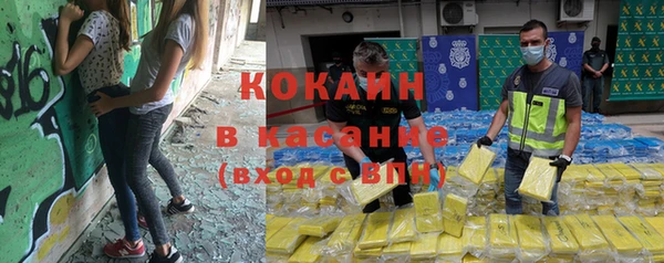 прущие грибы Абдулино