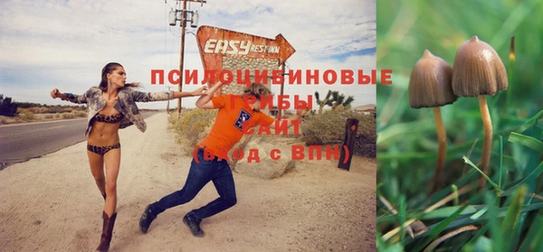гидропоника Абинск