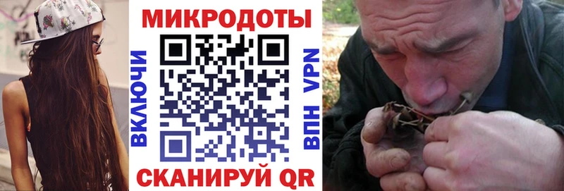 Галлюциногенные грибы Cubensis  Череповец 